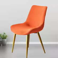 Housse de chaise | Élastique Facile